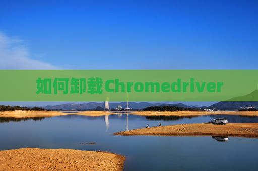 如何卸载Chromedriver